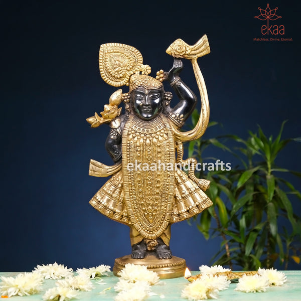 Brass Shreenath ji Statue