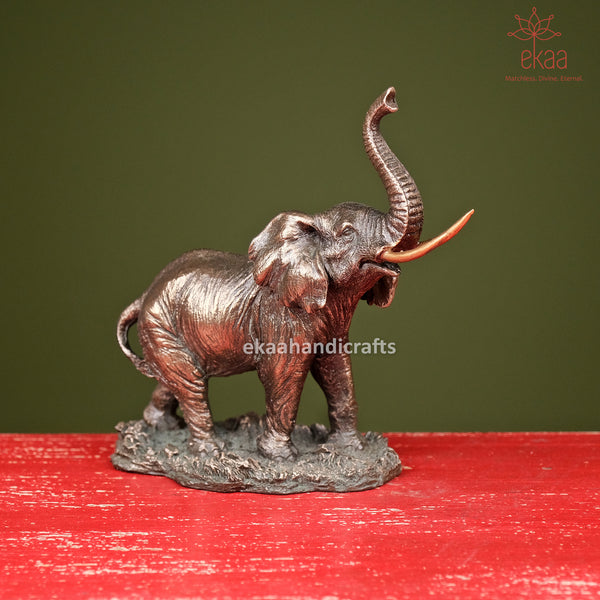 Bonded Bronze Elephant Trunk Up Showpiece